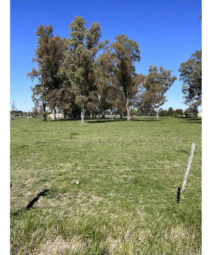 Lote Ubicado A 700 Metros Ruta 41 - San Miguel Del Monte