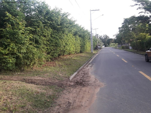Imagem 5 de 6 de Terreno - Te00038 - 68741659