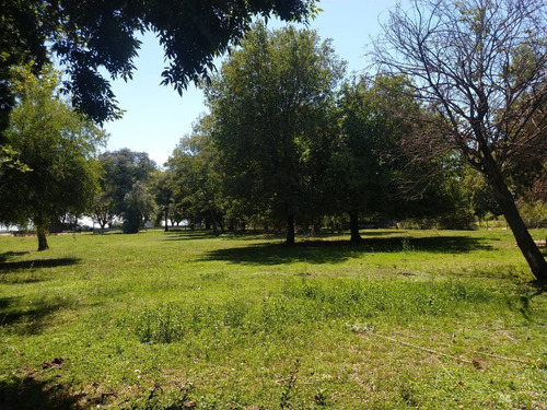 Imagen 11 de 15 de Lote | Ruta Nac Nº 8