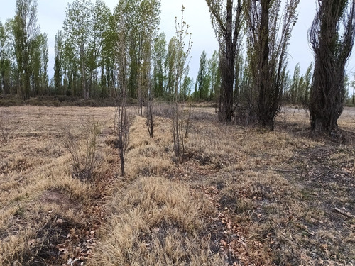 5 Héctareas (chacra) Con Riego Y Entrada Individual En 25 De Mayo La Pampa