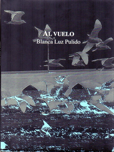 Al vuelo, de Pulido, Blanca Luz. Serie Íntimos Editorial Ediciones de Educación y Cultura, tapa dura en español, 2006