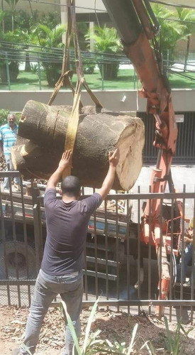Imagem 3 de 5 de Poda E Corte De Árvores