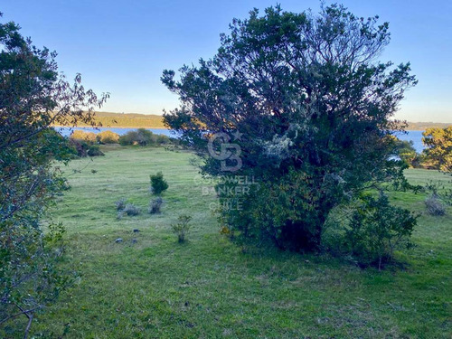 Isla Chaullin Helvecia. Arrayanes Milenarios, Calbuco.