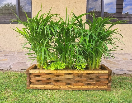 Imagen 5 de 8 de Maceta De Madera Jardinera Piña