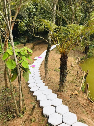 Chácara Para Venda Em Suzano, Chácaras Bonanza - 0754/2021_2-1133666