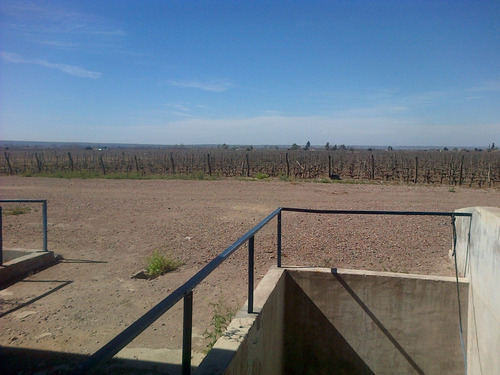 Imagen 7 de 10 de 77 Has - Bodega Y Viñedos - Ugarteche