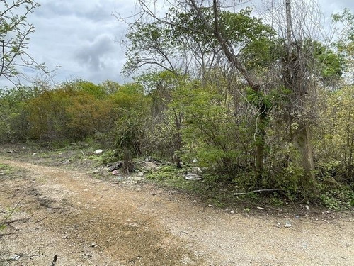 Terreno En Esquina En Venta Cholul