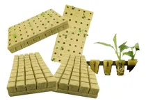 Comprar Cubos  Lana De Roca Para Germinación 20 Pzas