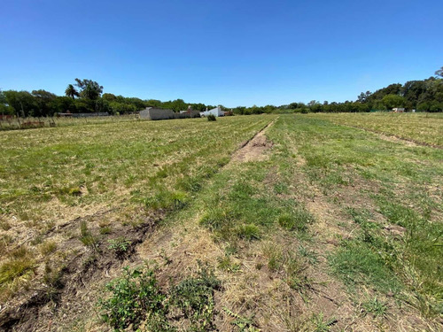 Dueño Directo Vende Lotes De 900m2 En Pontevedra