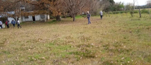 Imagen 5 de 5 de Terreno - Matheu
