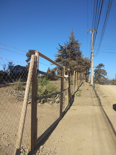 Reñaca, Los Pinos, A 2 Cuadras De Avda. Gastón Hamel