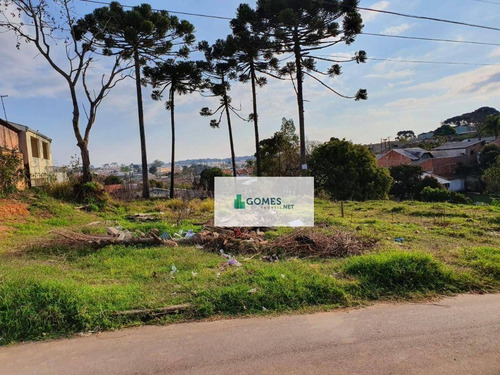 Imagem 3 de 7 de Terreno À Venda, 2150 M² Por R$ 850.000,00 - Gralha Azul - Fazenda Rio Grande/pr - Te0035