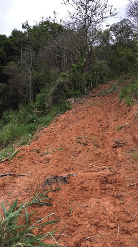 Imagem 11 de 14 de W1- Terrenos Partícular Com Iptu Água Só Construir
