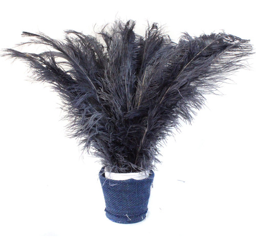 Plumas De Avestruz Palito P/ Decorações 100g Cor Grafite