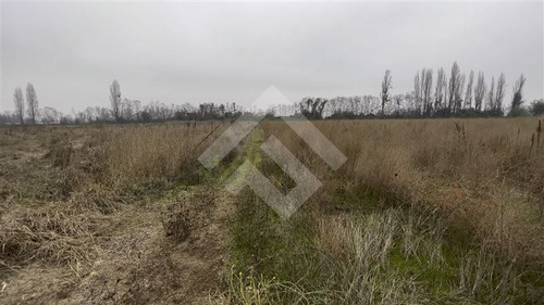 Parcela Agrícola En Venta En Parral