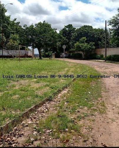 Imagem 13 de 14 de Terreno Para Venda Em Teresina, Morros - Lote Coli_2-1229049