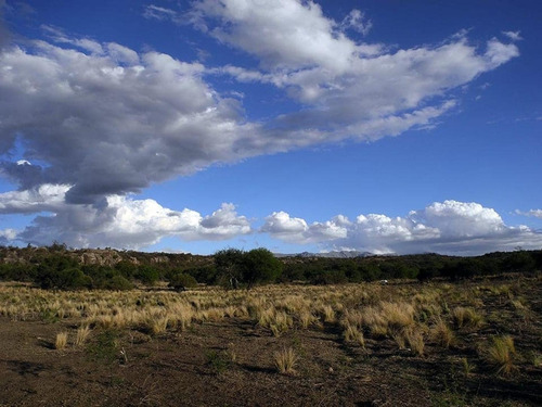 Imagen 9 de 25 de Excelente Campo Nativo De 103ha La Venta En Ojo De Agua!