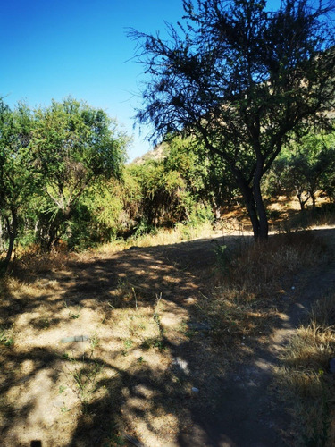 Quinta La Fe Doñihue