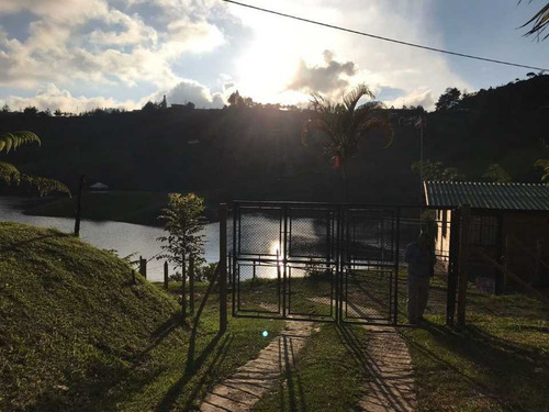Imagen 8 de 20 de Arriendo Finca El Peñol Santa Ana, Antioquia
