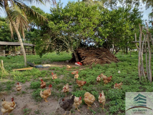 Granja A Venda Na Lagoa Do Bonfim, Nísia Floresta