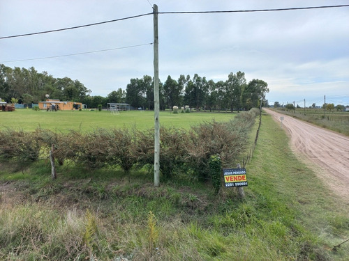 Imagen 1 de 12 de Terreno De Quinta