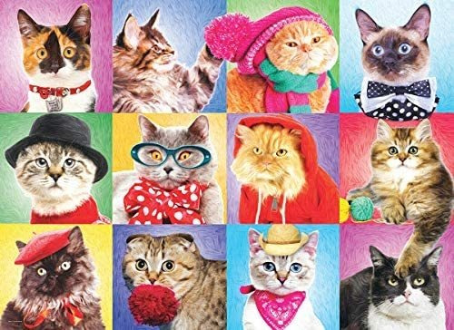 Eurographics Silly Cats Puzzle De 300 Piezas