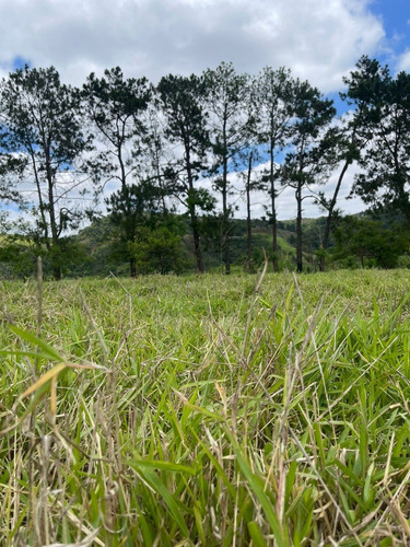 Imagem 14 de 24 de M01- Oportunidade De Ter Sua Casa No Campo