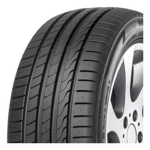 Kit 2 Pneu 205/45r17 88w F205 Minerva Aro R17