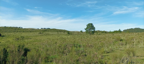 Chacra 5,6 Hectareas Ideal Emprendimiento Turístico