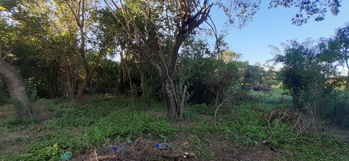 Imagen 6 de 10 de Se Vende Lote San Javier Cordoba