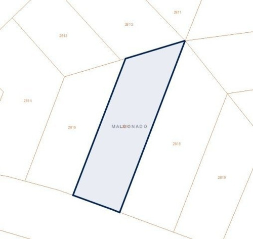 Lote | Merluzas