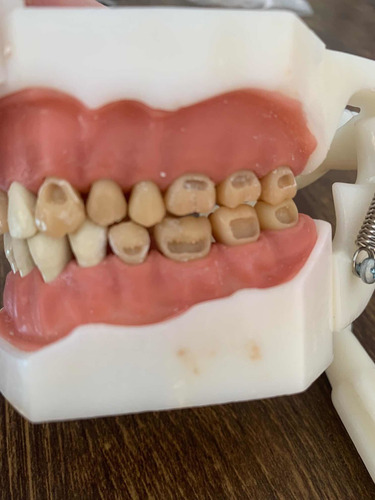 Imagem 4 de 5 de Manequim Odontologico Dental Art