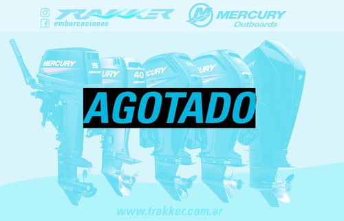 Motor Fuera De Borda Mercury 75 Hp 4 Tiempos Trakker