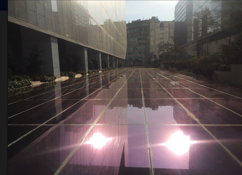 Imagen 5 de 14 de Renta De Oficinas Comerciales, Samara 500 M2 , $12,000.00