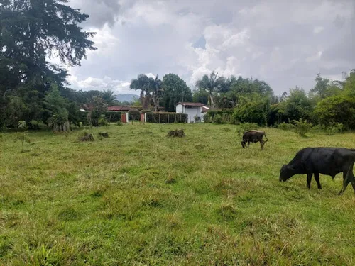 Lotes En Venta Llanogrande 743-7717