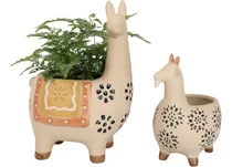 Comprar Macetas De Cerámica De Animales Suculentas  Macetas De...