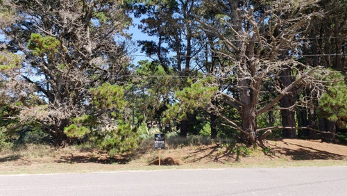 Imagen 3 de 9 de Lotes Sobre Av. Interbalnearia