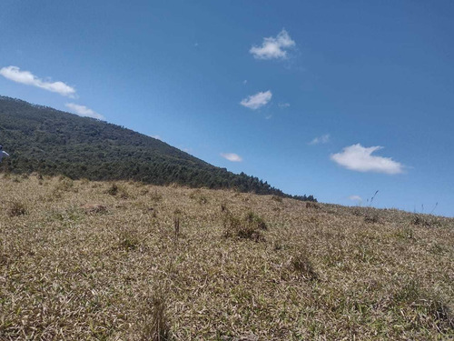Imagem 13 de 14 de S20- Lotes Para Seu Lazer Ou Investimento Em Nazaré
