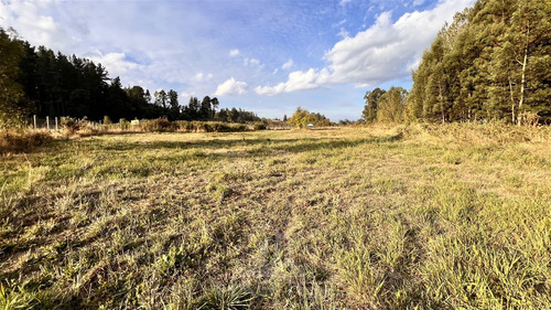 Vende Parcela Sector Botrolhue 6135m2, Acceso Banco Estado