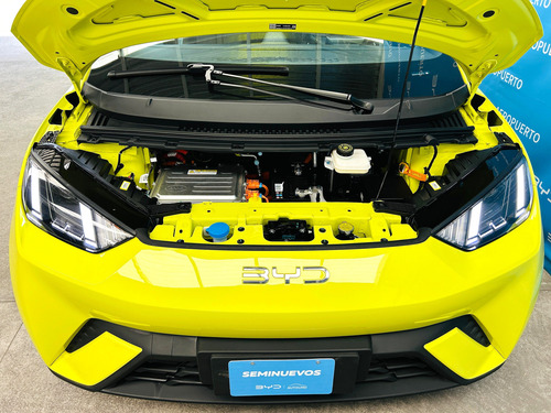 BYD Dolphin Mini 0.0 Plus Ev