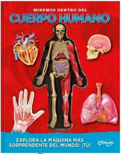 Miremos Dentro Del Cuerpo Humano