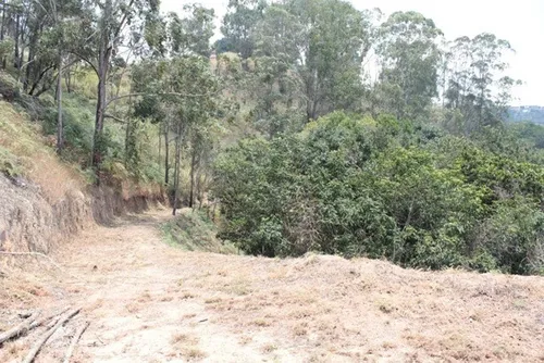 Vendo Terreno En Carrizal