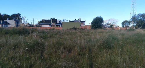 Lote Económico En Calle 8 Entre 87 Y 88
