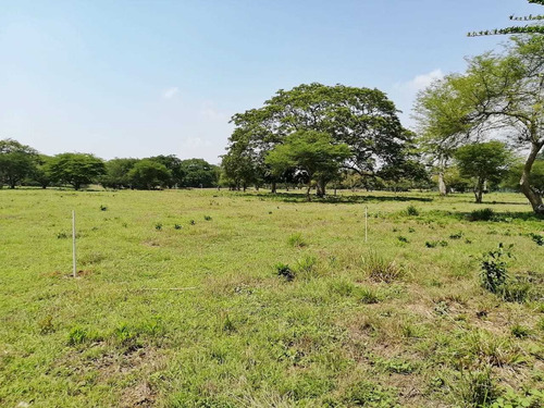 Imagen 13 de 14 de Lotes Campestre En Prado De Pontevedra Etapa 2 Turbaco Bolivar