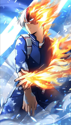 Poster Shto Todoroki Autoadhesivo 40x70cm Var Modelos#406