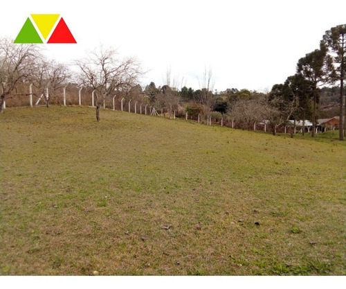 Imagem 25 de 28 de Chacara - Ch00145 - 69489936