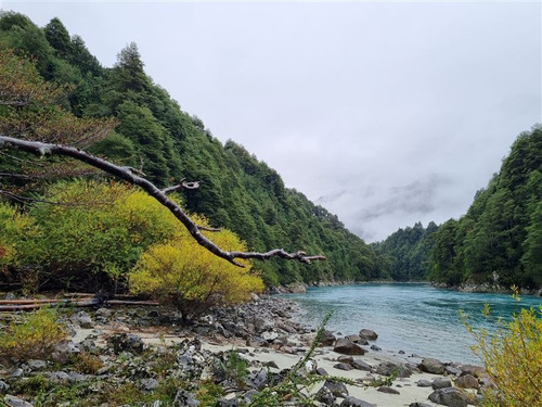 En Venta Hermoso Campo A Orillas De Rio Puelo 