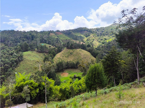 Venta Lotes Urrao En Ecoaldea. Un Verdadero Paraiso