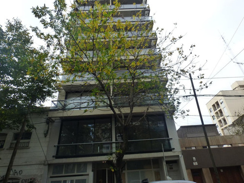 Imagen 2 de 11 de Departamento En Venta En La Plata Calle 10 E/ 60 Y 61 Dacal Bienes Raices