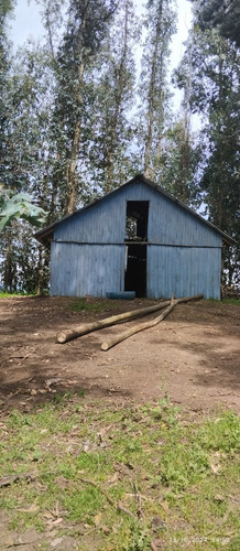 Parcela De 6,5 Ha En Comuna Rio Claro, Region Del Maule,